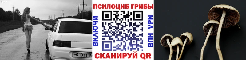 наркошоп  Торжок  Галлюциногенные грибы прущие грибы 
