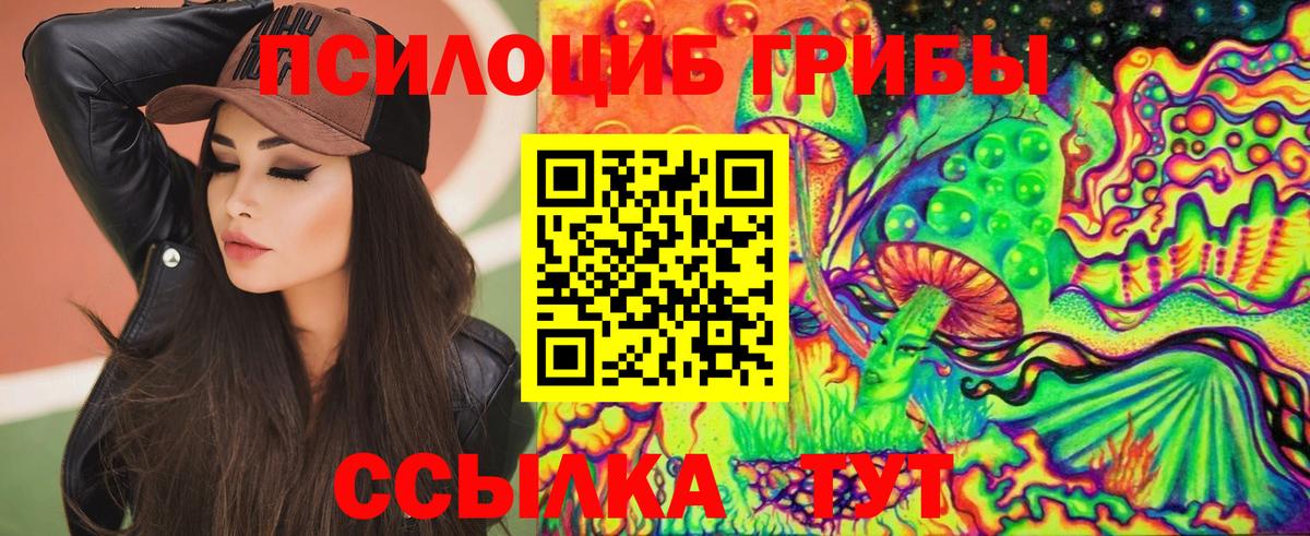 Галлюциногенные грибы Magic Shrooms  Вход с VPN  Галлюциногенные грибы Psilocybe  Торжок 
