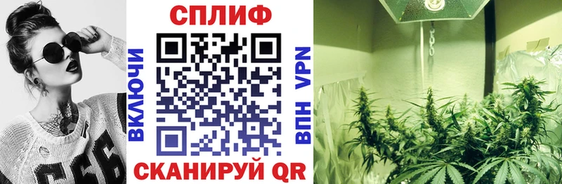 где найти наркотики  Торжок  Конопля семена 